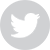 twitter Icon