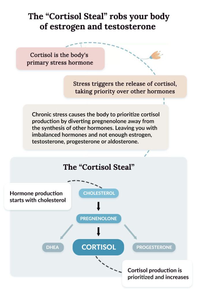 "Cortisol steal" is how the body, under stress, prioritizes cortisol production, at the expense of other hormones like estrogen, progesterone, and testosterone. 
