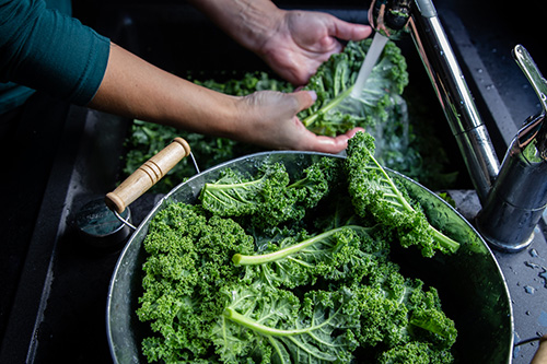 Woman washing kale to remove pesticide residue