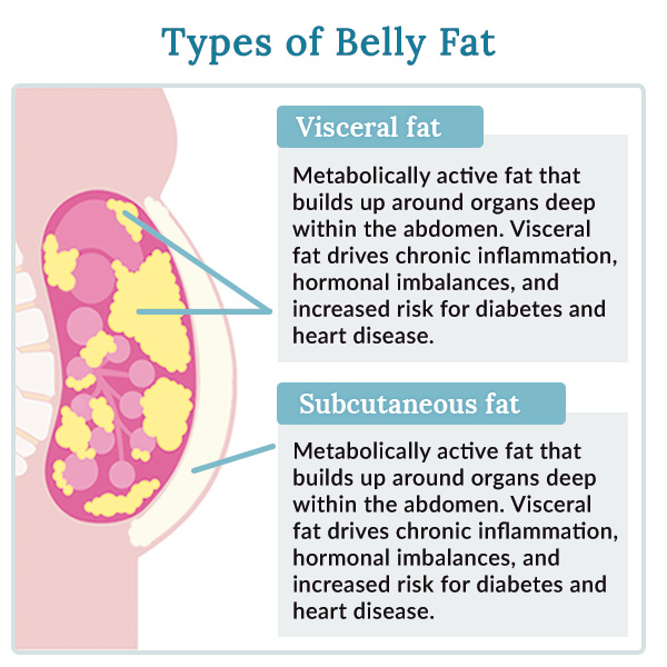 types of belly fat