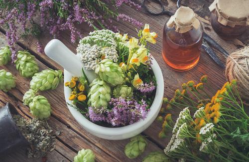 plants and herbs for menopause