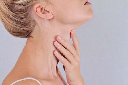 How does the thyroid work?