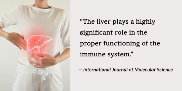 The liver plays a highly significant role in the proper functioning of the immune system