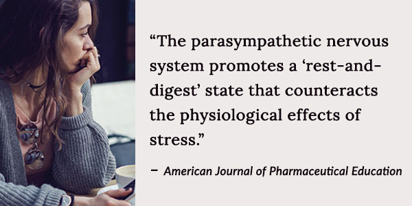 parasympathetic nervous system counteracts the physiological effects of stress