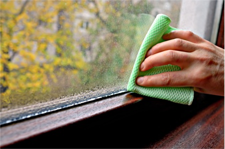 Woman cleaning mold from windows