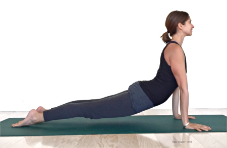 vinyasa yoga pose