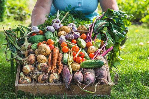 There are many health benefits to eating root vegetables