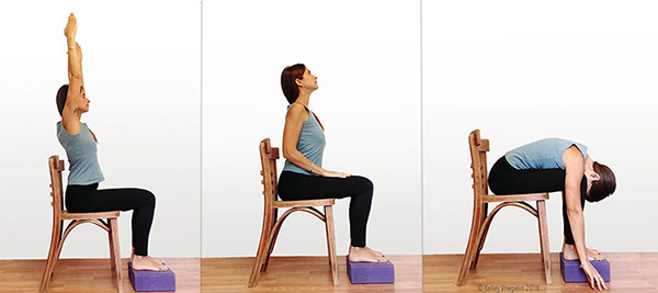 5 Chair Yoga Poses For All Levels