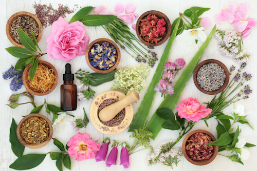 Exploring different herbs that are effective for natural menopause relief