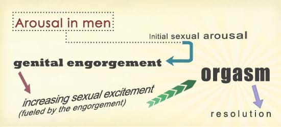 Sexual Excitement In Women