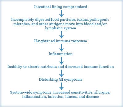 Leaky Gut
