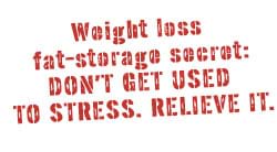 How your body stores fat How your body stores fat