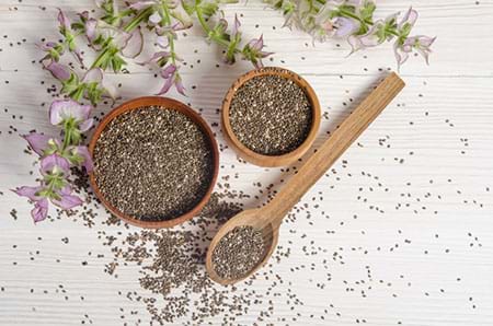 chia seeds from the salvia hispanica plant contain fiber and protein