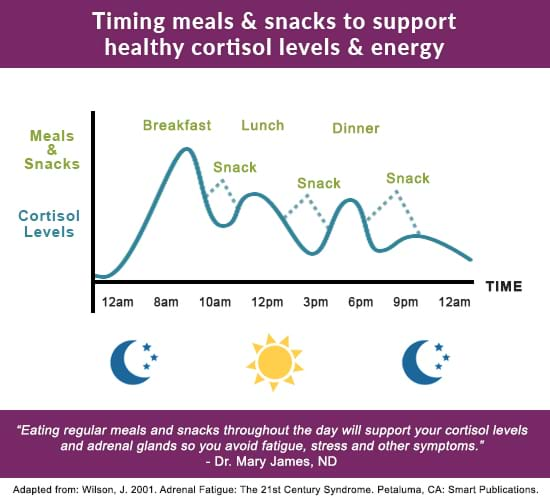 circadian rhythm