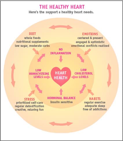 Heart Diagram Support