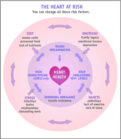 illustration shows both risk factors and support factors for heart health