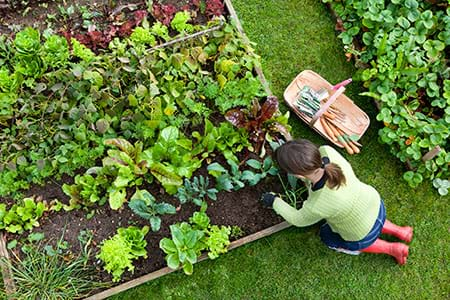 choosing organic vegetables helps a woman avoid toxic exposure