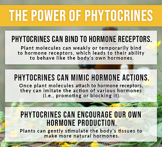 power of phytocrines