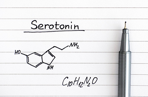 serotonin is the key neurotransmitter involved in mood and emotions