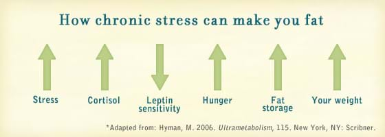 how chronic stress can make you fat