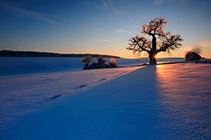 sunset in a winter landscape