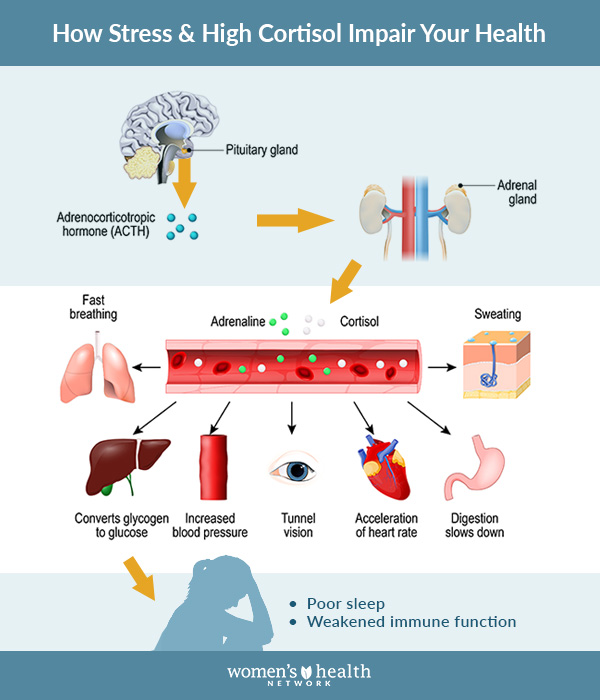 How high cortisol impairs your health