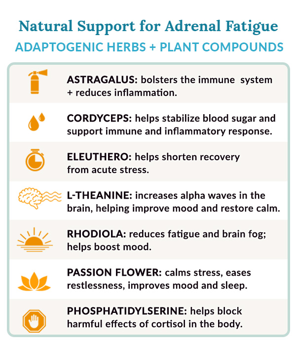 The Best Supplements and Herbs for Healing Adrenal Fatigue