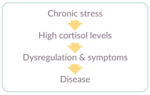 negative effects of high cortisol