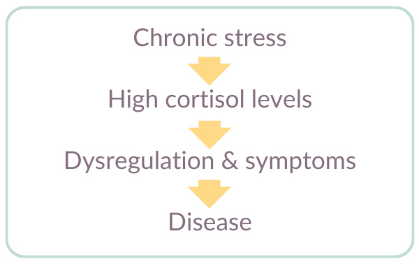 negative effects of high cortisol