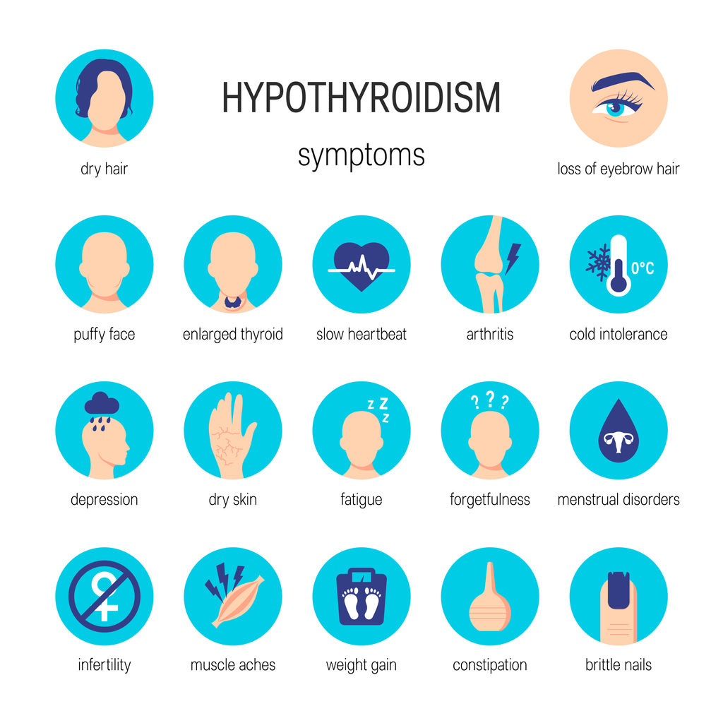 Hyperthyroidism vs hypothyroidism symptoms.  Vector medical illustration in flat style
