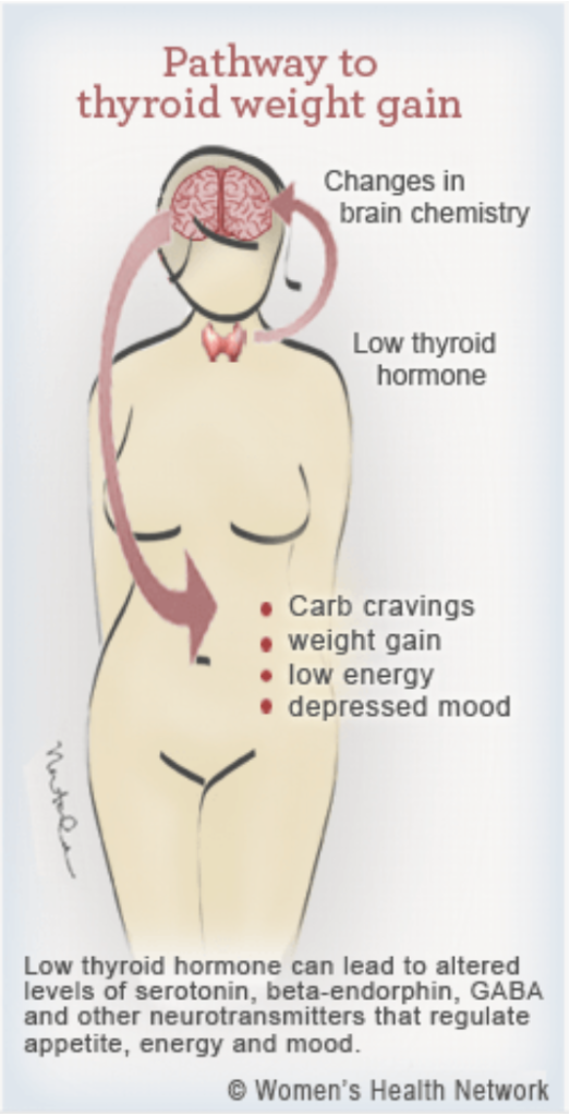 Lose Weight Despite Hypothyroidism