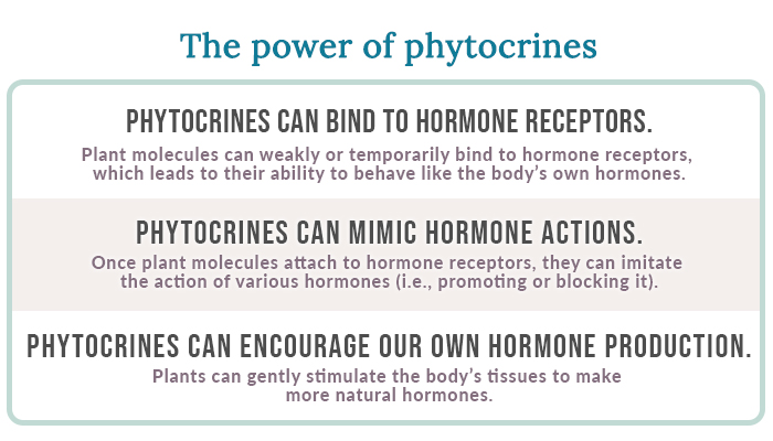 power of phytocrines