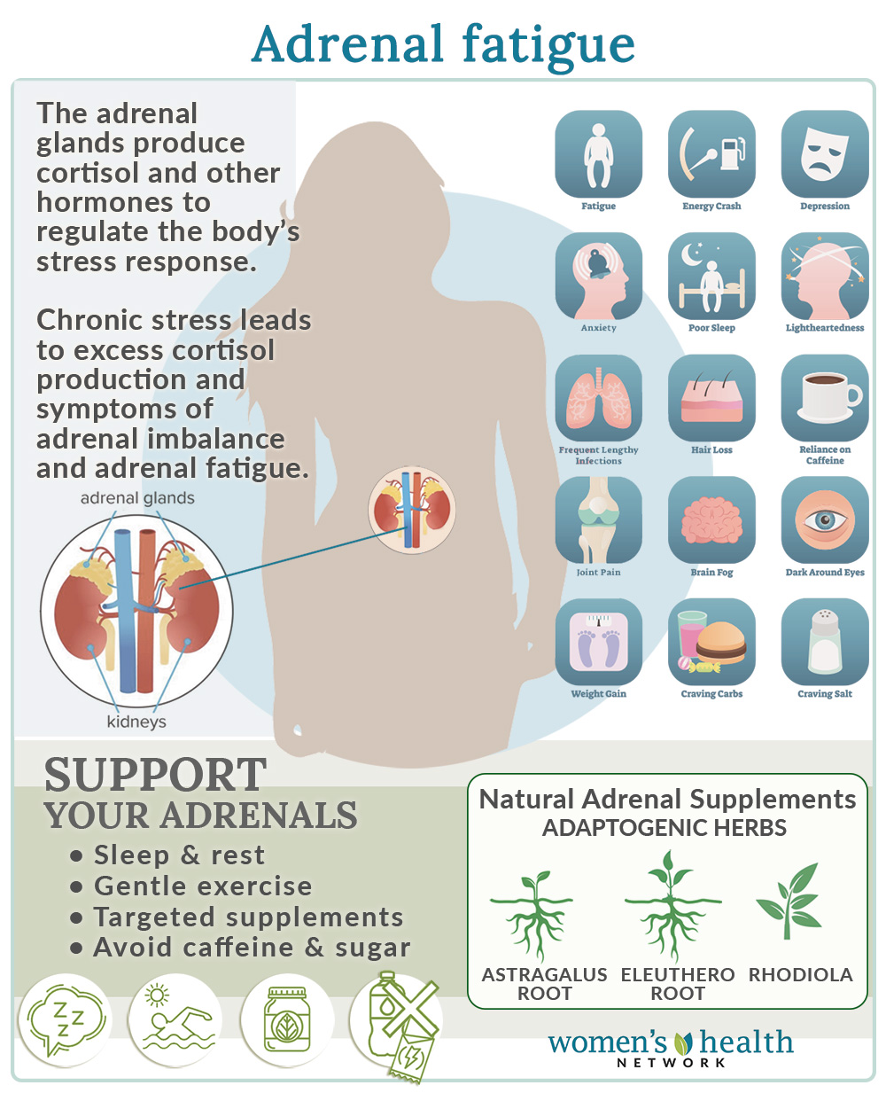 adrenal stress and fatigue