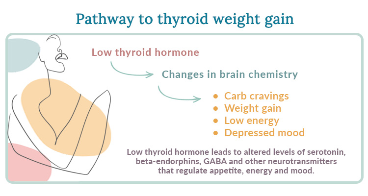 Stop Thyroid Weight Gain Women S