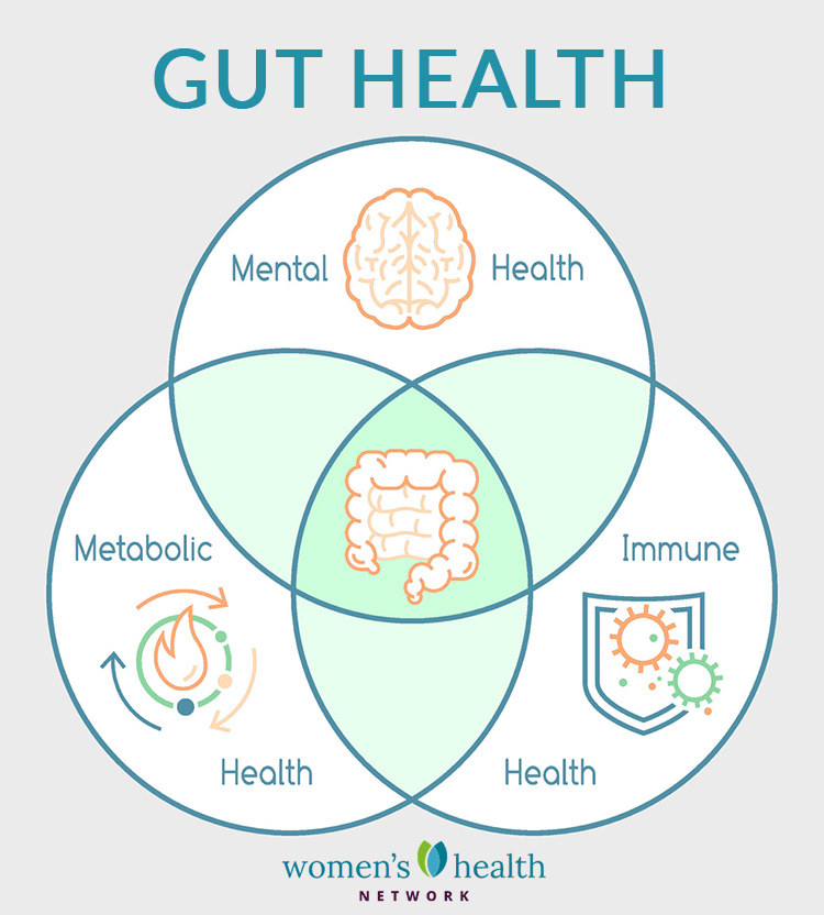 Best Gut Health Supplement For Men And Women