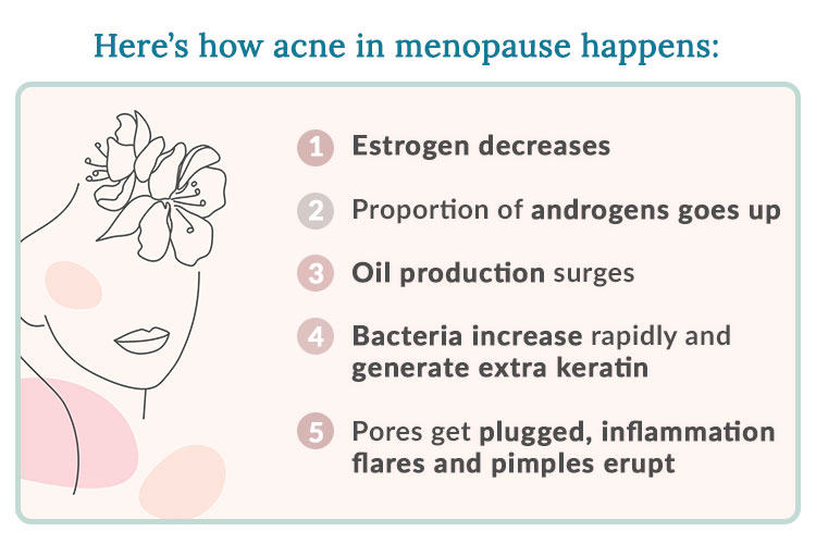 The Hormonal Causes of Adult Acne Women’s Health Network