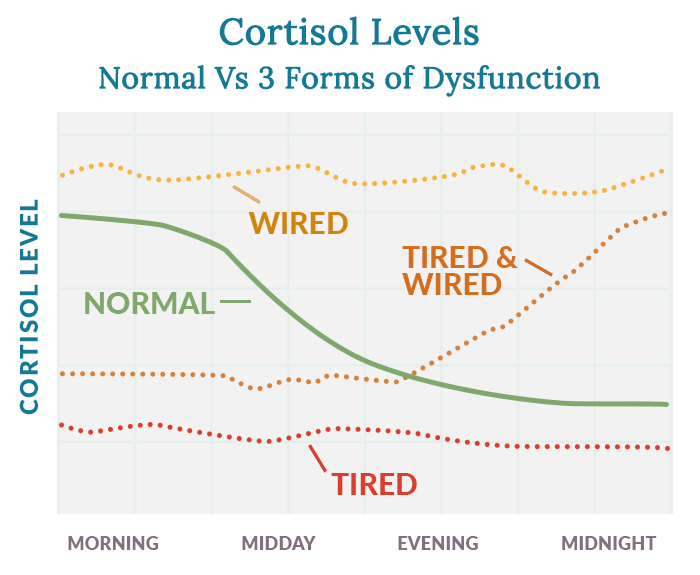 Adrenal Fatigue Symptoms Causes And Treatments Adrenal Fatigue Symptoms Causes And Treatments